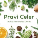 Pravi Celer: The Complete Guide to Its Hlth Benefits & Uses