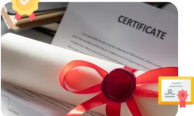 Certified Document Translation